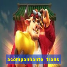 acompanhante trans em santos